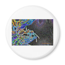 ant a1 refrigerator magnets