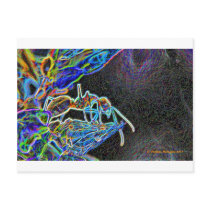 ant a1 post cards