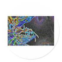 ant a1 sticker