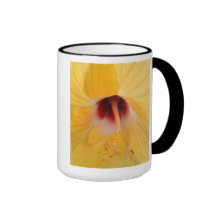 ant coffee mugs