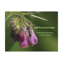 Ant & Flower Gratitude Motivational Postcards