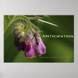 Ant & Flower Gratitude Motivational Poster