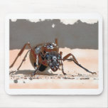 ant i mouse pads
