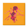 ant magnets