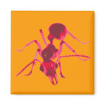 ant magnets