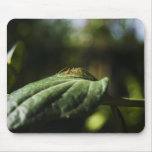 Ant Mousepads