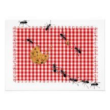Ant Picnic Invite