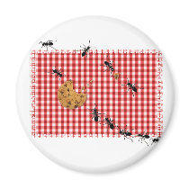 Ant Picnic