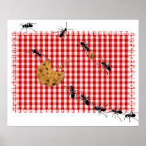 Ant Picnic