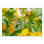 Ant Portrait With Siberian Wallflowers Greeting Card
