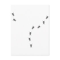 ant trail icon post card