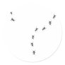 ant trail icon round stickers
