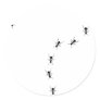 ant trail icon round stickers