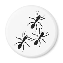 ant trail fridge magnet