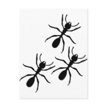 ant trail postcards