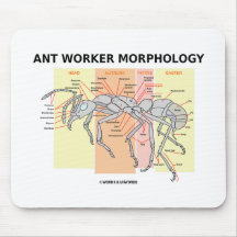 Ant Worker Morphology Mouse Pad