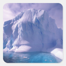 Antarctica. Antarctic icescapes Square Sticker