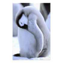 Antarctica, Antarctic Peninsula, Weddell Sea,