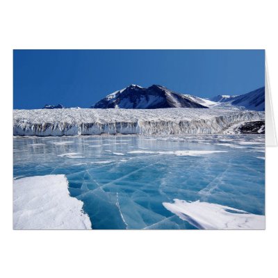 Antarctica Greeting Card by beverlytazangel