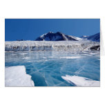 Antarctica cards