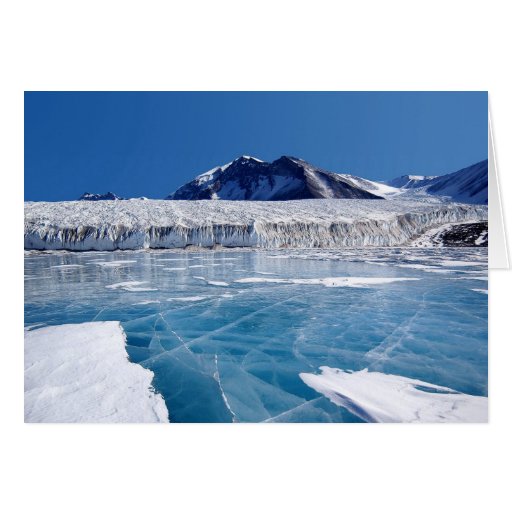 Antarctica Greeting Card