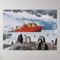 Antarctica Print