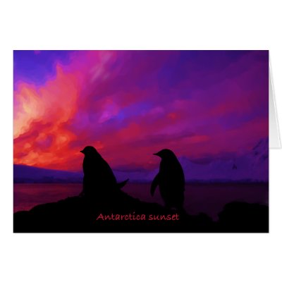 Antarctica Sunset card by FlowerBower