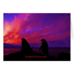 Antarctica Sunset card