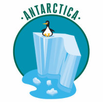 antartica penguin design photo cut out