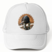Anteater Baseball Hat