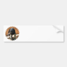 Anteater Bumper Stickers