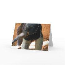 Anteater Greeting Card
