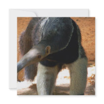 Anteater Invitation
