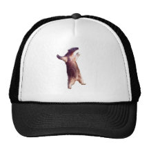 Anteater Mesh Hat