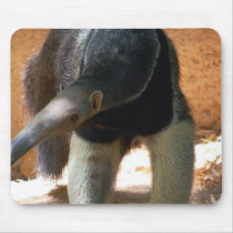 Anteater Mouse Pad