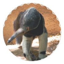 Anteater Stickers