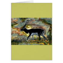 Antelope Blackbuck from Junglewalk.com