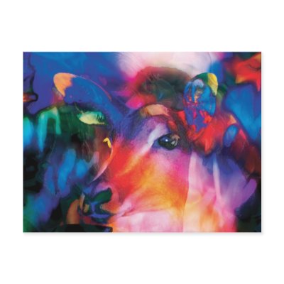 Antelope Curiosity - colourful art by Rowood