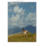 Antelope Greeting Card