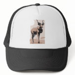 Antelope Hat