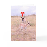 Antelope Love Card