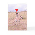 Antelope Love Card