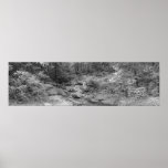 Antelope Spring - 2008 Poster