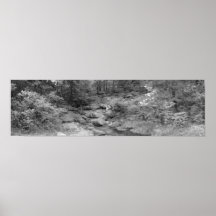 Antelope Spring - 2008 Poster