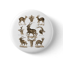 Antelopes Pinback Buttons