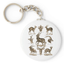 Antelopes Keychains