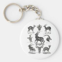 Antelopes Keychain