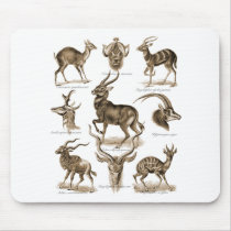 Antelopes Mouse Pad