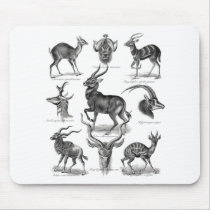 Antelopes Mousepad
