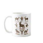 Antelopes mugs